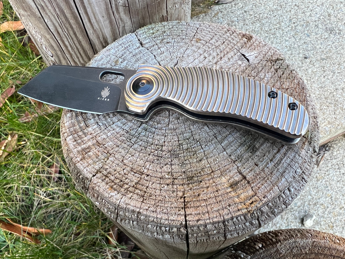 Kizer mini sheepdog double detent - Brass Ripple scales